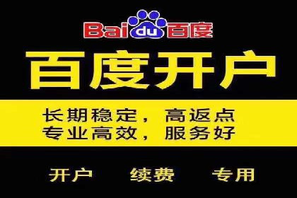 百度竞价推广公司成功经验分享：广告投放的技巧与策略